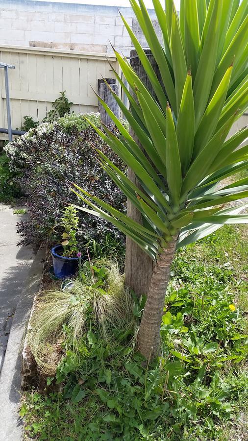 Empire Hotel Backpackers Oamaru Ngoại thất bức ảnh